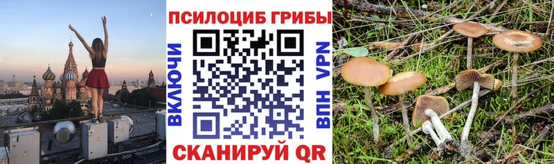 Галлюциногенные грибы прущие грибы  Борисоглебск 
